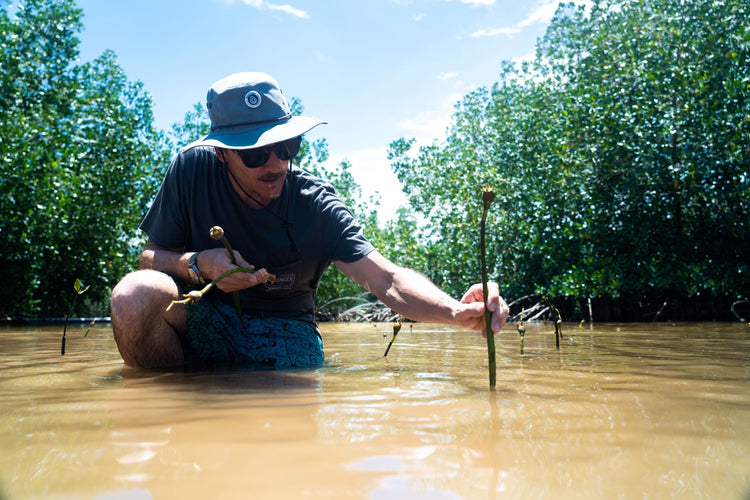 Here’s How Many Mangrove Trees We Planted with SeaTrees Last Month